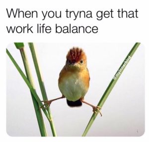 10 work life balance meme to help you stay sane!